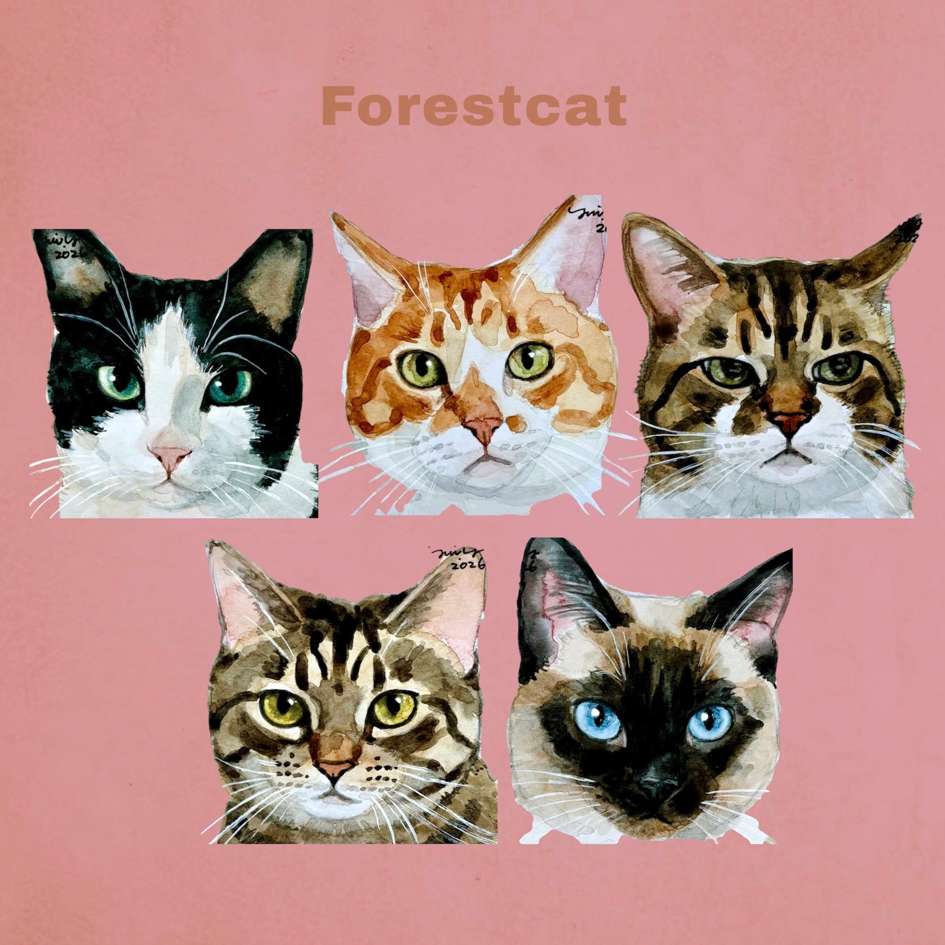 猫の絵 396 水彩画 原画 ミニ色紙 ハチワレ | Forest cat