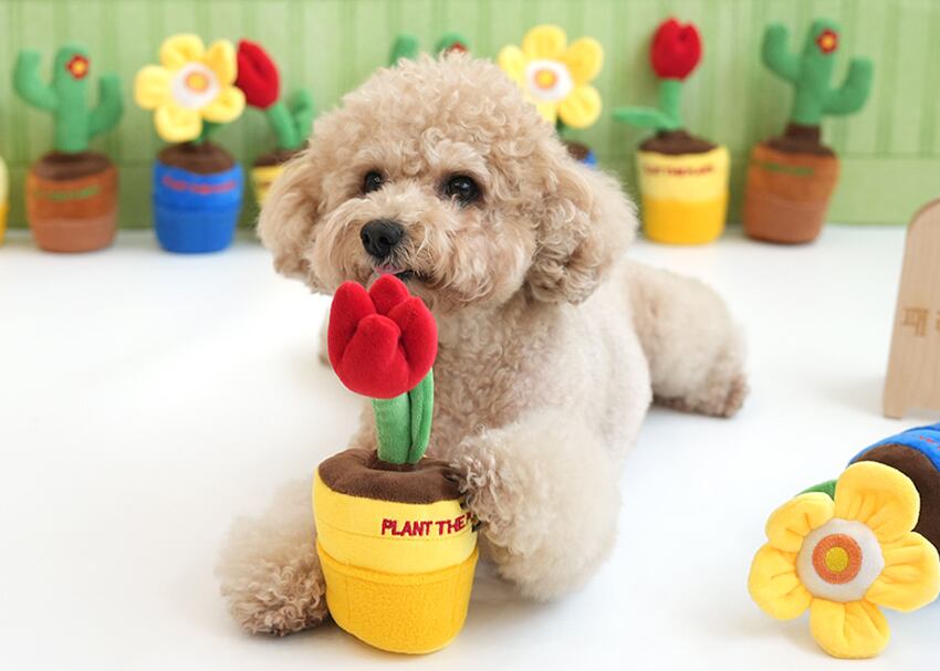 gardening snack toy  / ノーズワーク ペット 犬 おもちゃ 音が鳴る 知育玩具 ノーズワーク おやつ隠し 可愛い わんちゃん ストレス解消 インスタ映え