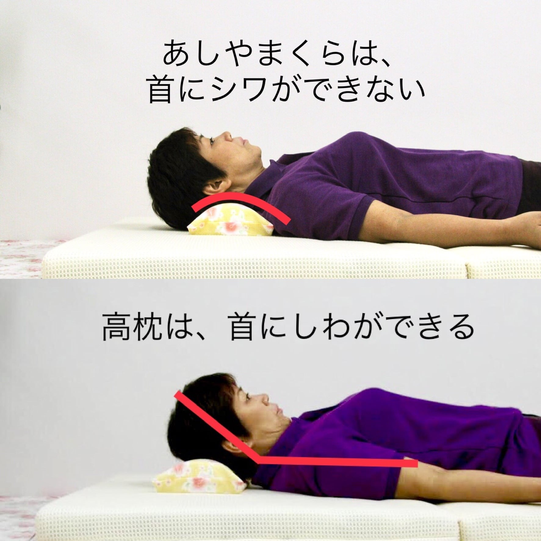 あしやまくら 黄色 | escortashiya