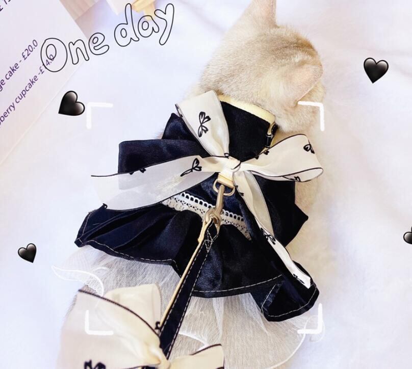 《予約》210910 オシャフェルティーハーネス(赤&黒)