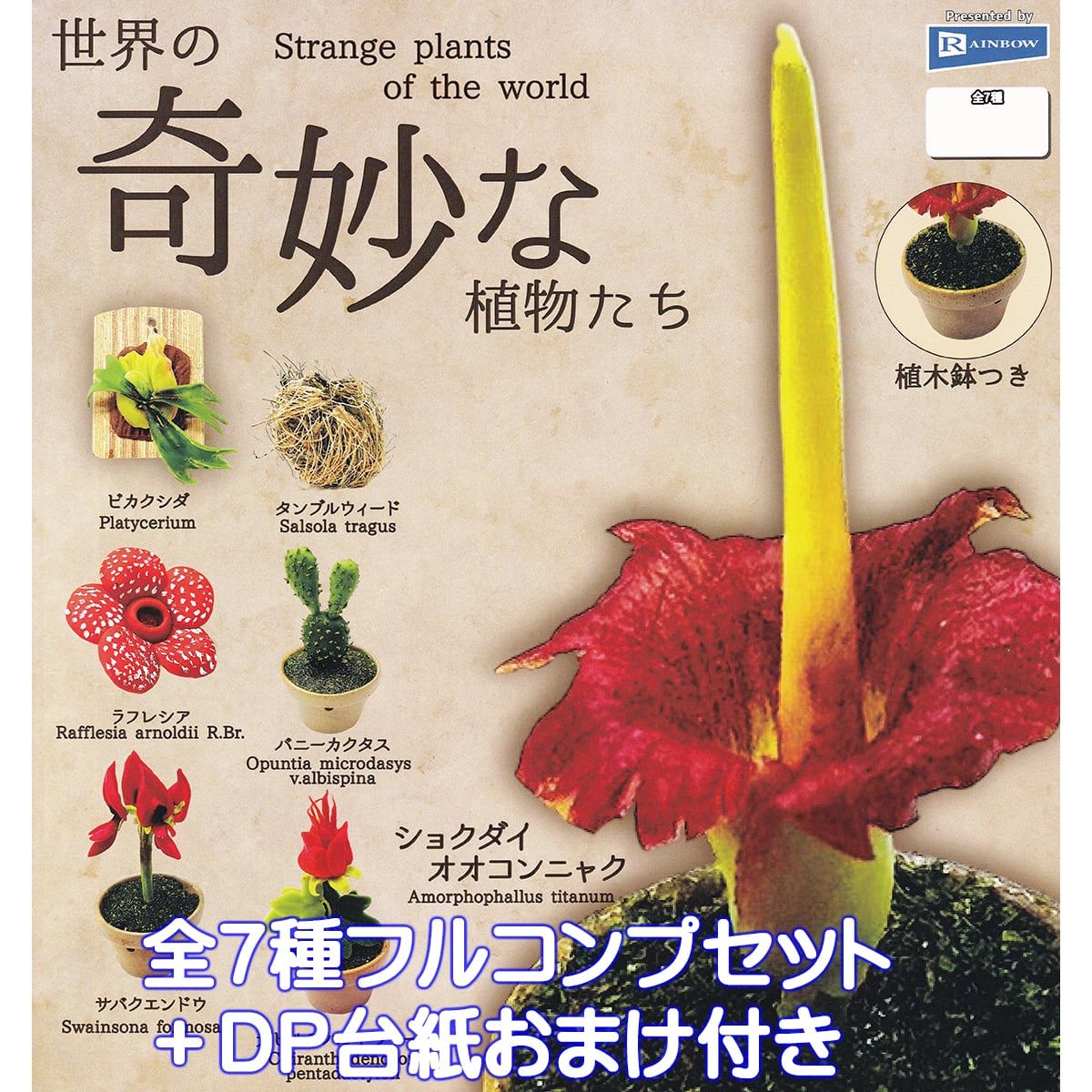 つぶつぶな世界 965afe36c341e08d983003c953ebc4