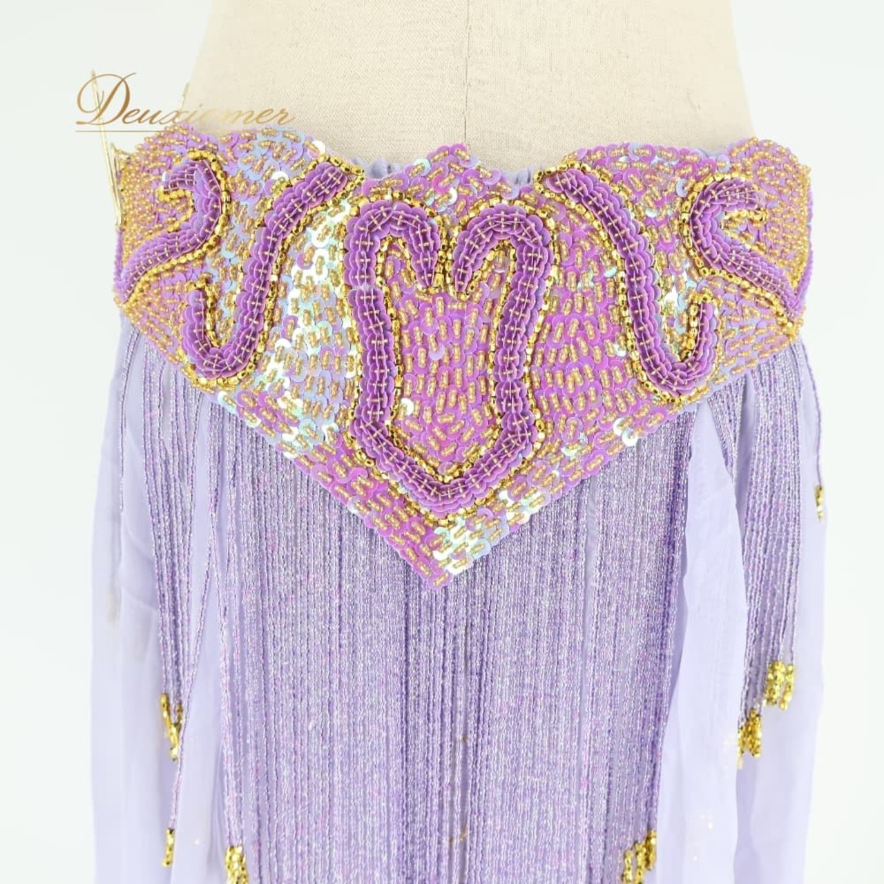 ベリーダンス オリエンタル 衣装 上下セット パープル系 トップス スカート ベルト チョーカー ベール アーム 紫 金 フリンジ 淡い 装飾 豪華 アーム飾り 腕飾り かわいい スリット 華やか ダンス衣装 イベント ステージ