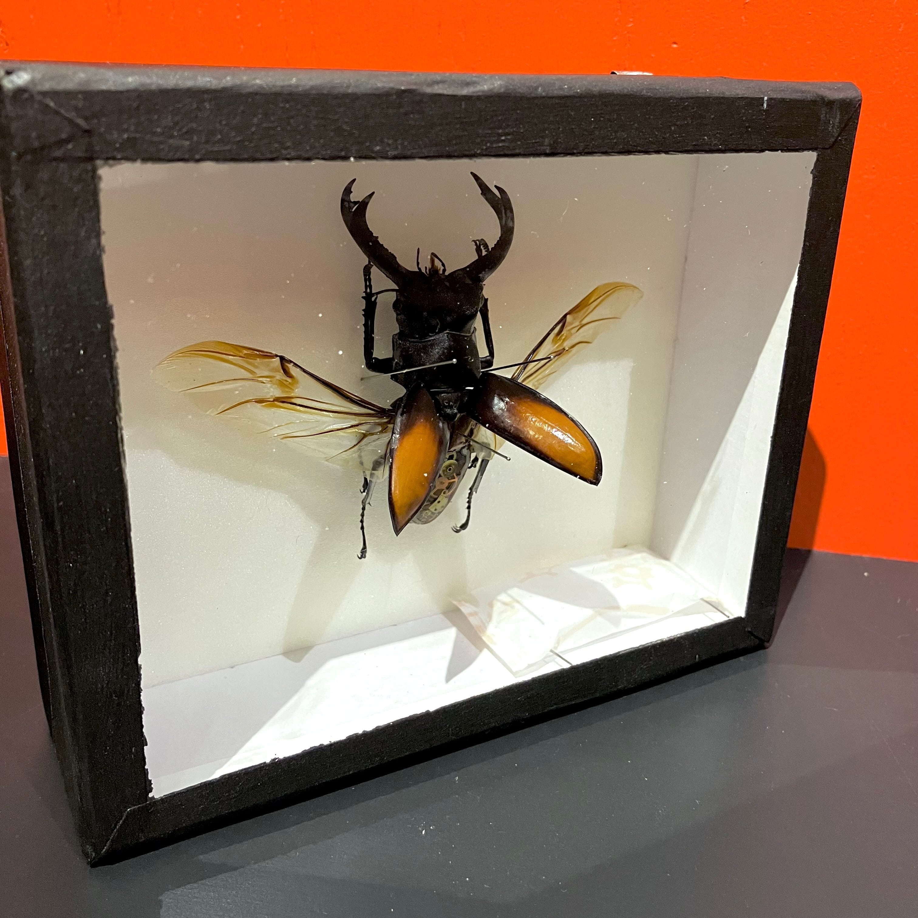 9662e5d18a6dfc246888f861ba45ce