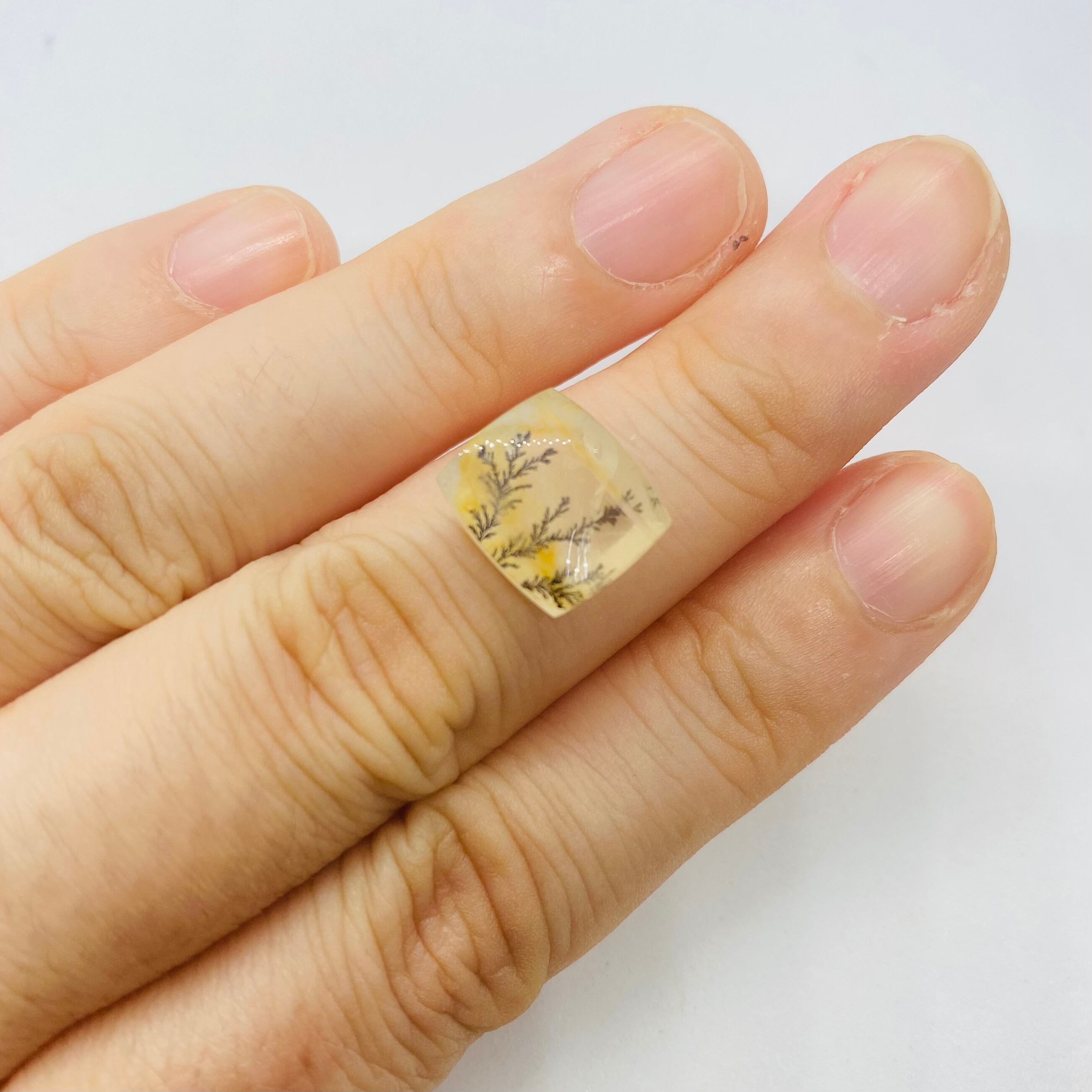 インスタライブでご紹介　デンドリティッククオーツ