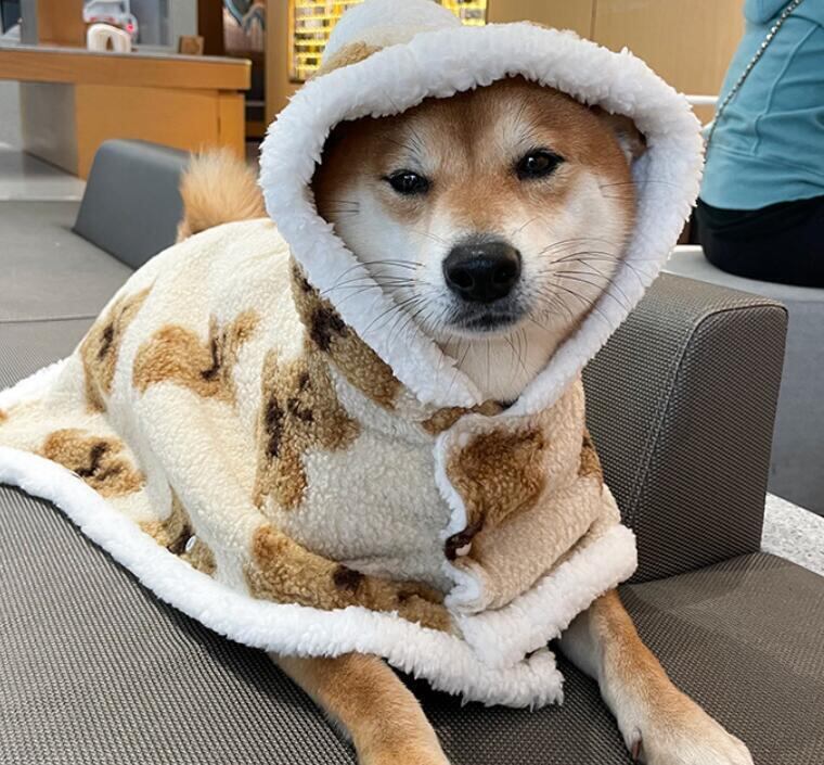 おすすめ☞《予約》№210887 マントくまさんブランケット