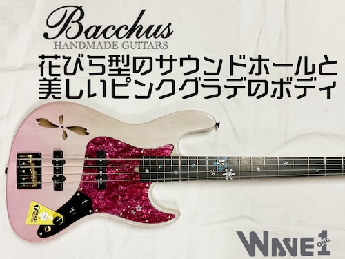 【Bacchus】WOODLINE-HOLLOW4 FUYUZAKURA WSE’23/E〈20本限定生産〉