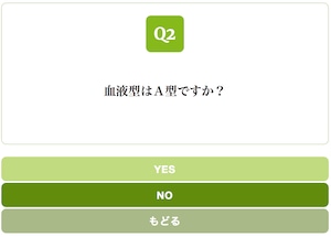 Yes/No Chart YELLOW GREEN スタイル