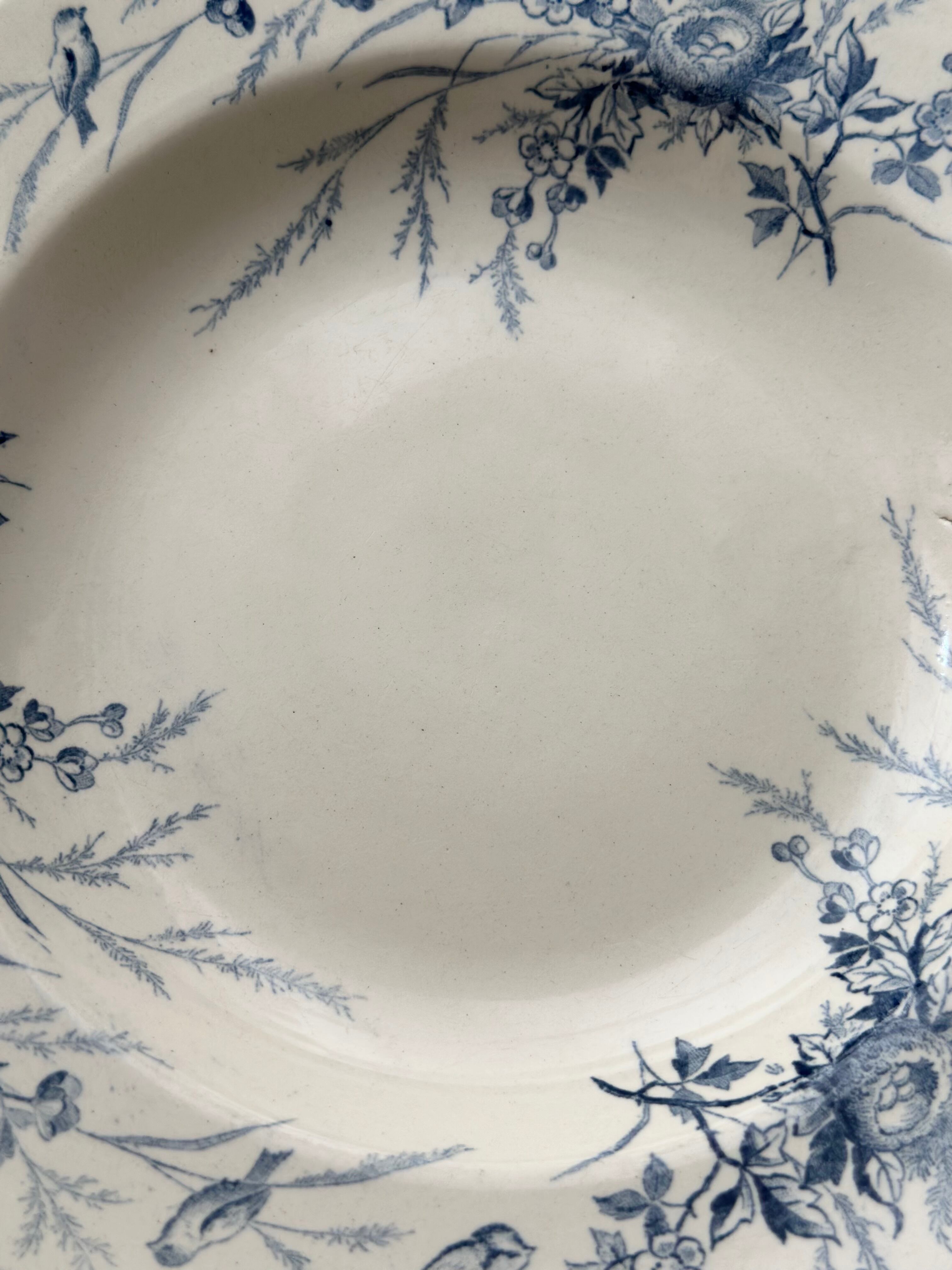 Creil et Montereau クレイユモントロー / “LINOTTE” blue 深皿