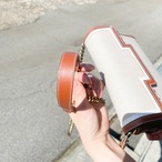 2021年SSモデル DELVAUX タンペート キャンバス×レザーショルダー thumbnail 5
