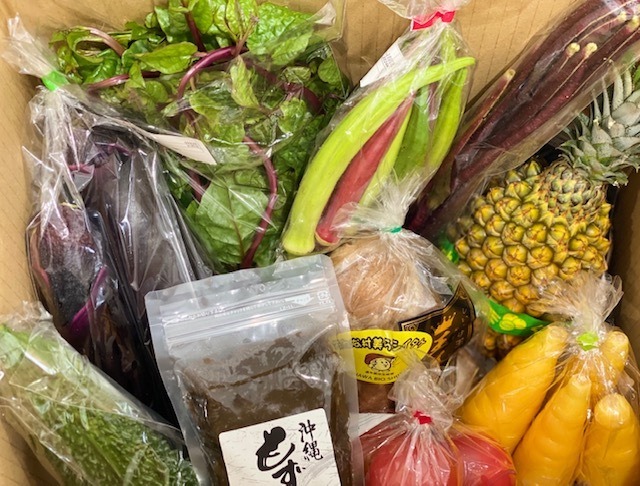 ⑧【沖縄野菜のみ】野菜ファミリーサイズ　（８～１１種類）