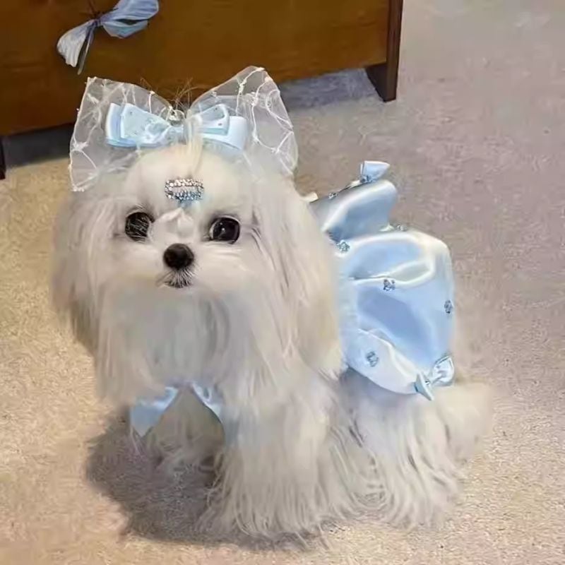 ブルーサテンのプリンセスドレス 犬服 01082