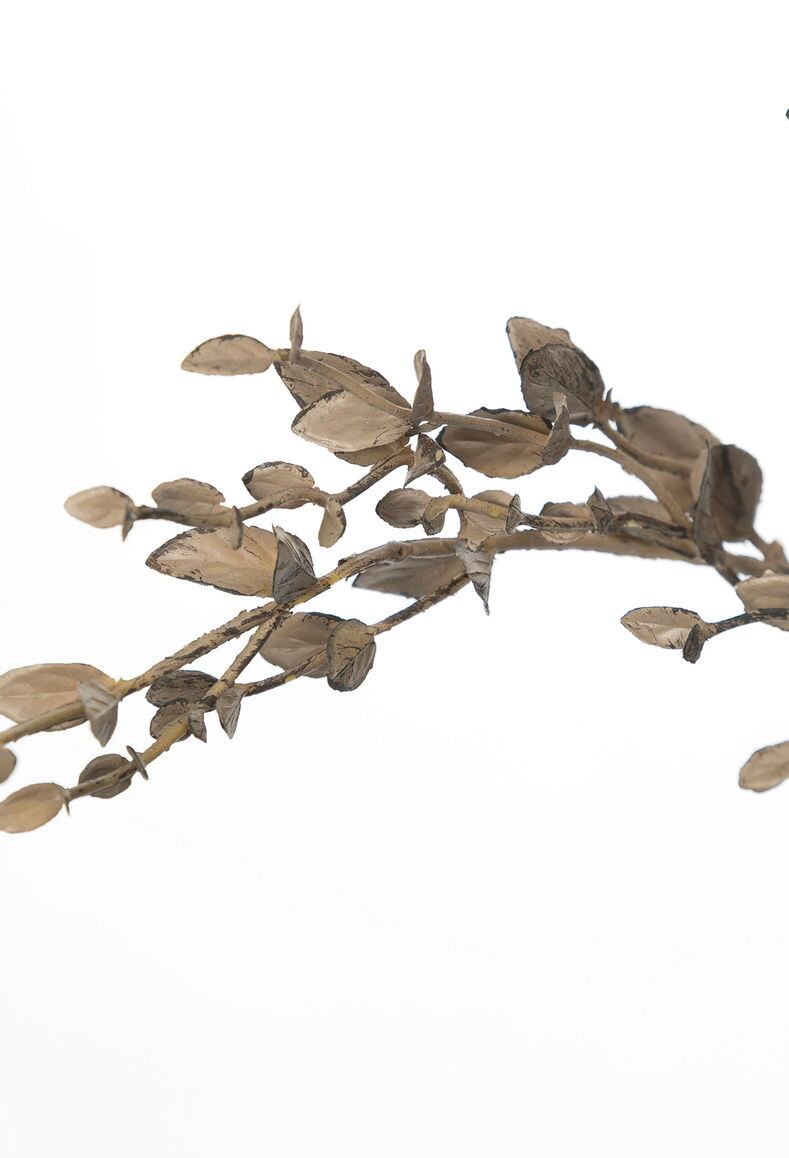 タイニーリーフブランチ　　FG-5028BE　4961823796111　造花（アーティフィシャルフラワー） > 定番造花グリーン（素材）