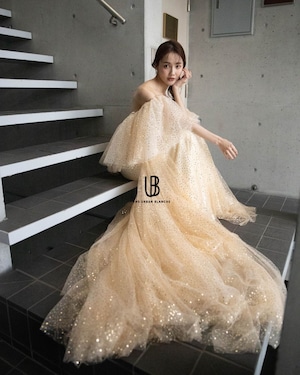 【NEW ARRIVAL CD76】 新作入荷 /カラードレス ウェディングドレス 挙式 2次会 前撮り【CD76 】