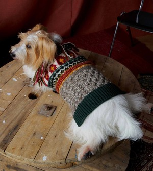 Vintage retro irish pet sweater