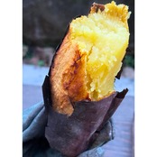 【令和8年産】土付きシルクスイート|家庭用|20kg