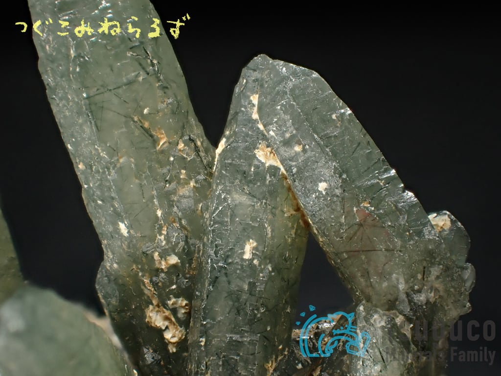 プレーズ・クォーツ 石英 緑水晶 Prase Quartz ギリシャ TM-0025