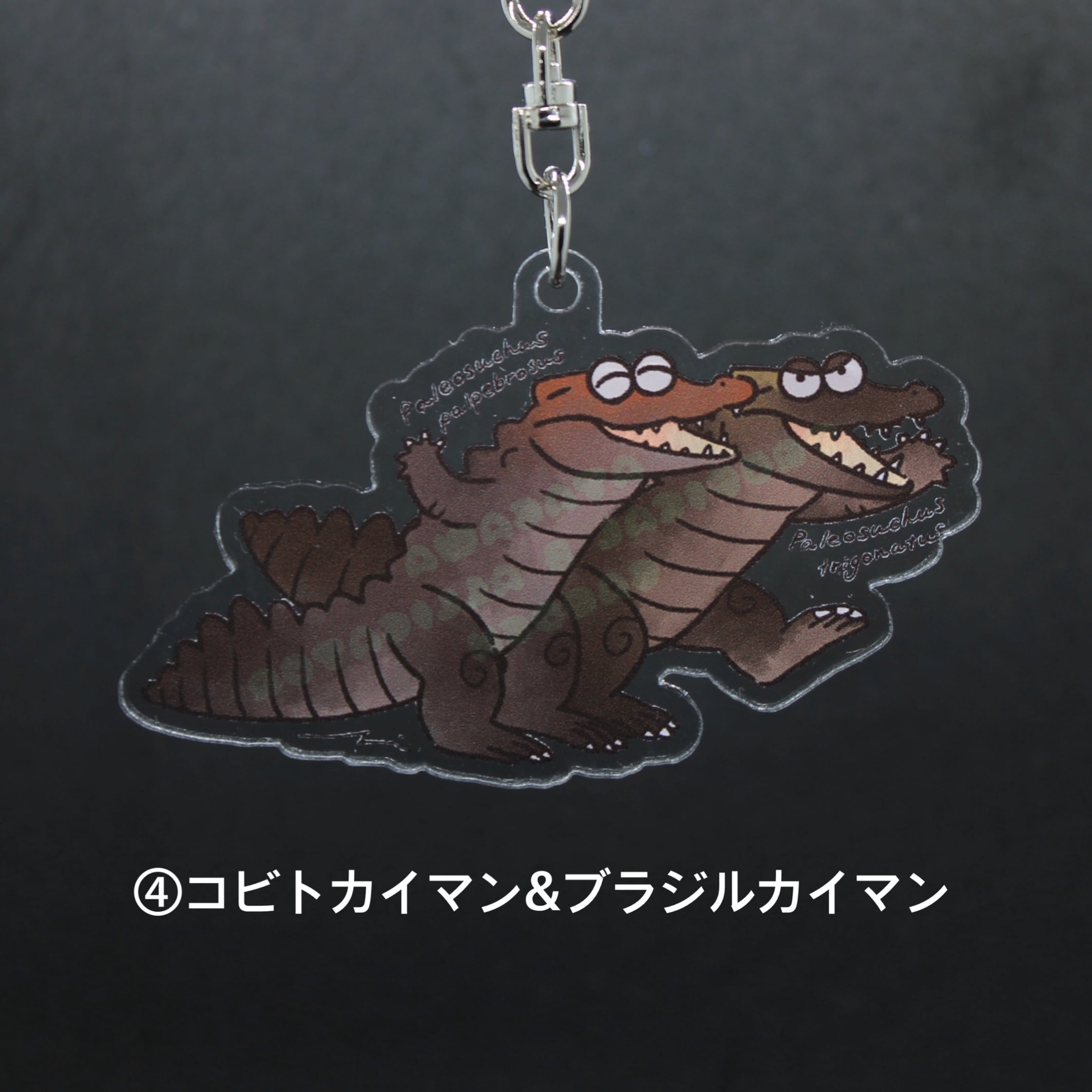 ゆるワニキーホルダー ＜雨宮ひかるさんデザイン＞ | 熱川バナナワニ園