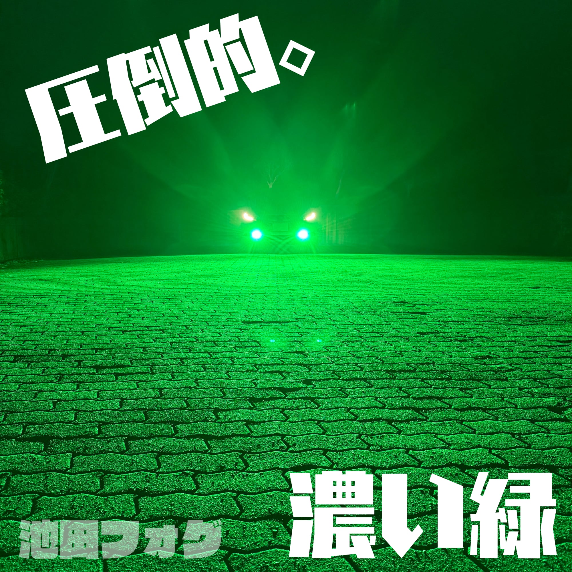 LED HB4 H8 H11 H16 どこに負けない レーザーグリーン 車 LED H8 H11