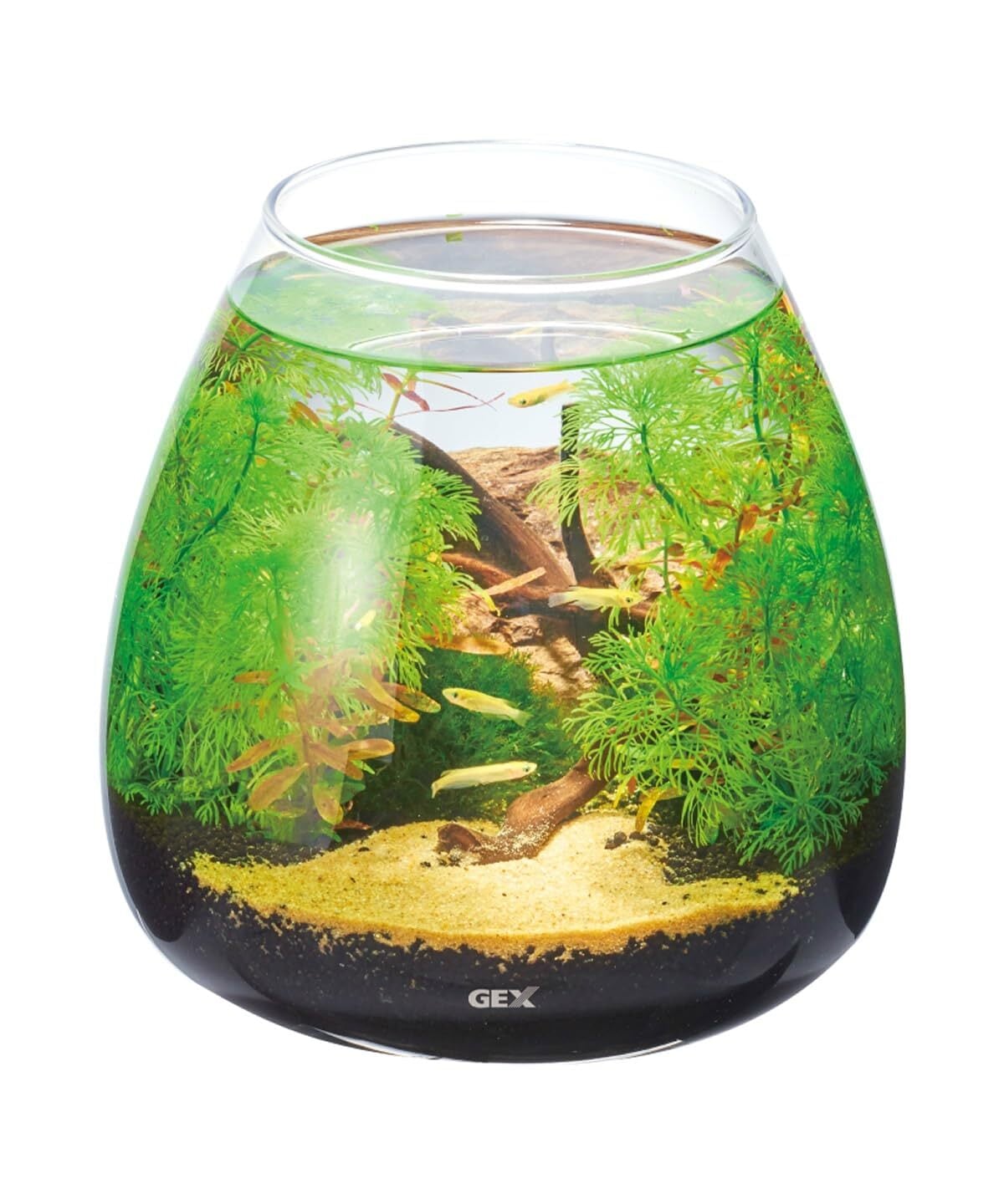 ジェックス GEX AQUARIUM グラスアクア ティアー-N アクアリウム 小型