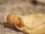 微笑みベビー（左腕なし） 画像14