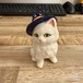 帽子をかぶった白ねこちゃん