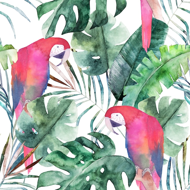 【FASANA】バラ売り2枚 ランチサイズ ペーパーナプキン Red parrots ホワイト
