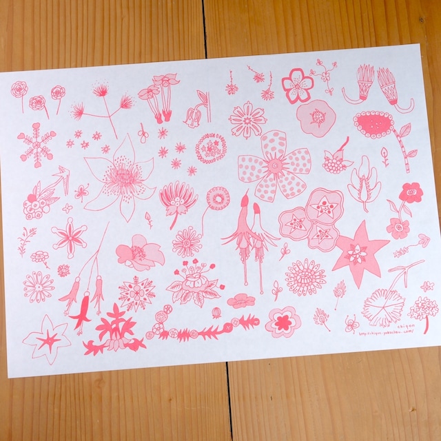 【CHIQON】つつみ紙 B4サイズ「はな」