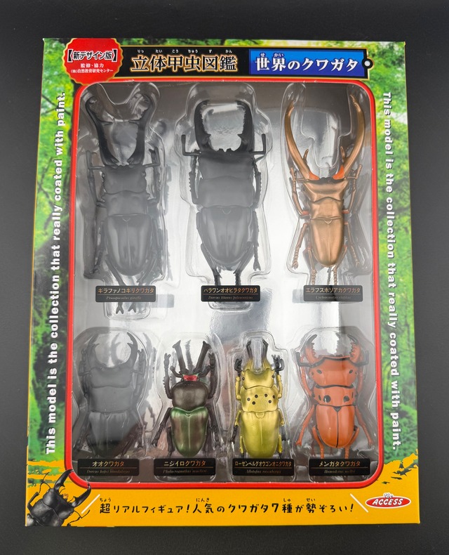 立体甲虫図鑑 世界のクワガタ