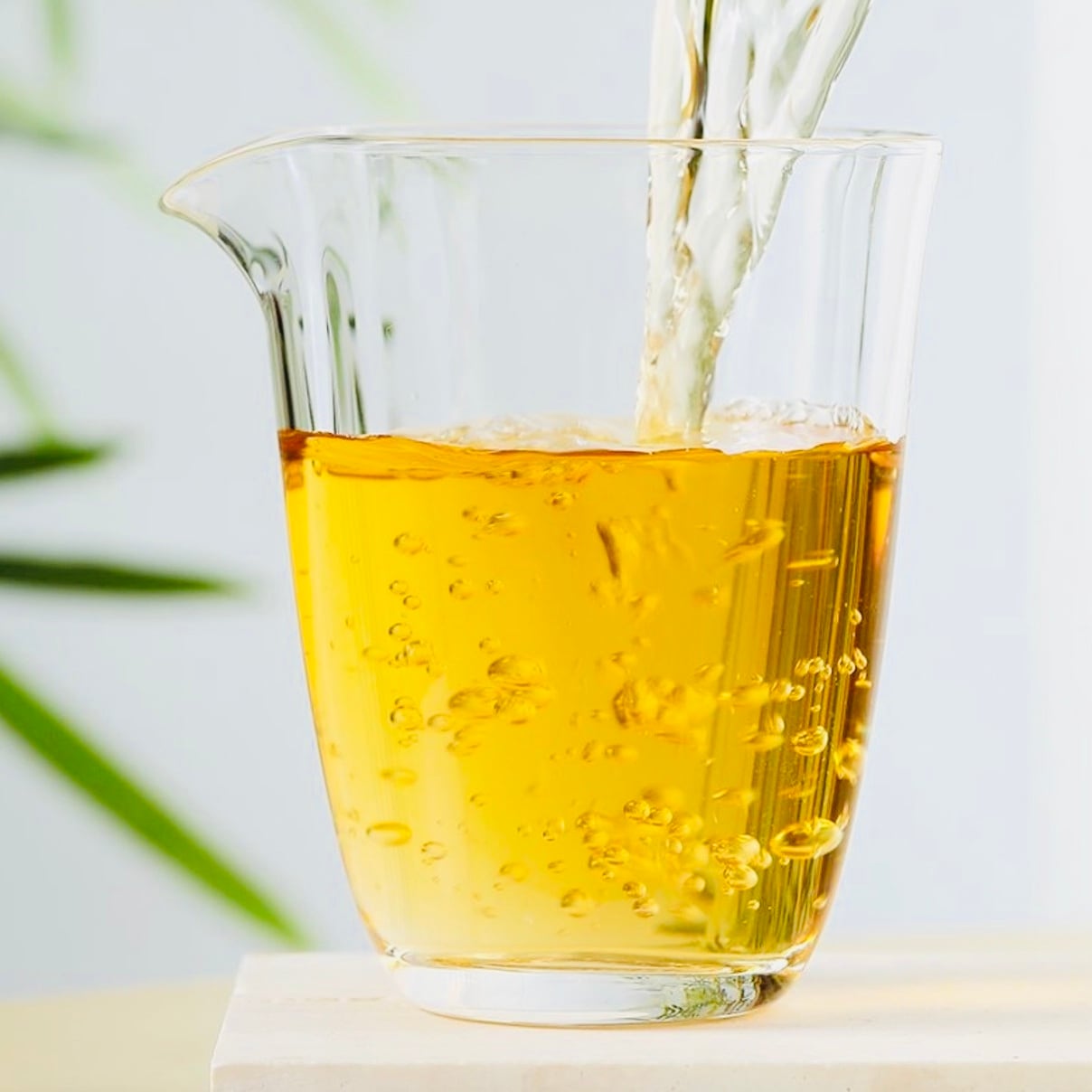 369 年份老茶　白茶　84g✖️4 新品上市| 369年份老白茶系列