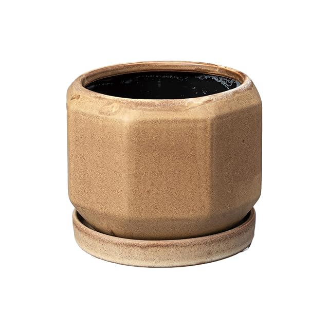 ECOPOTS Oslo エコポッツ AND PLANTS アンドプランツ (3.トープ