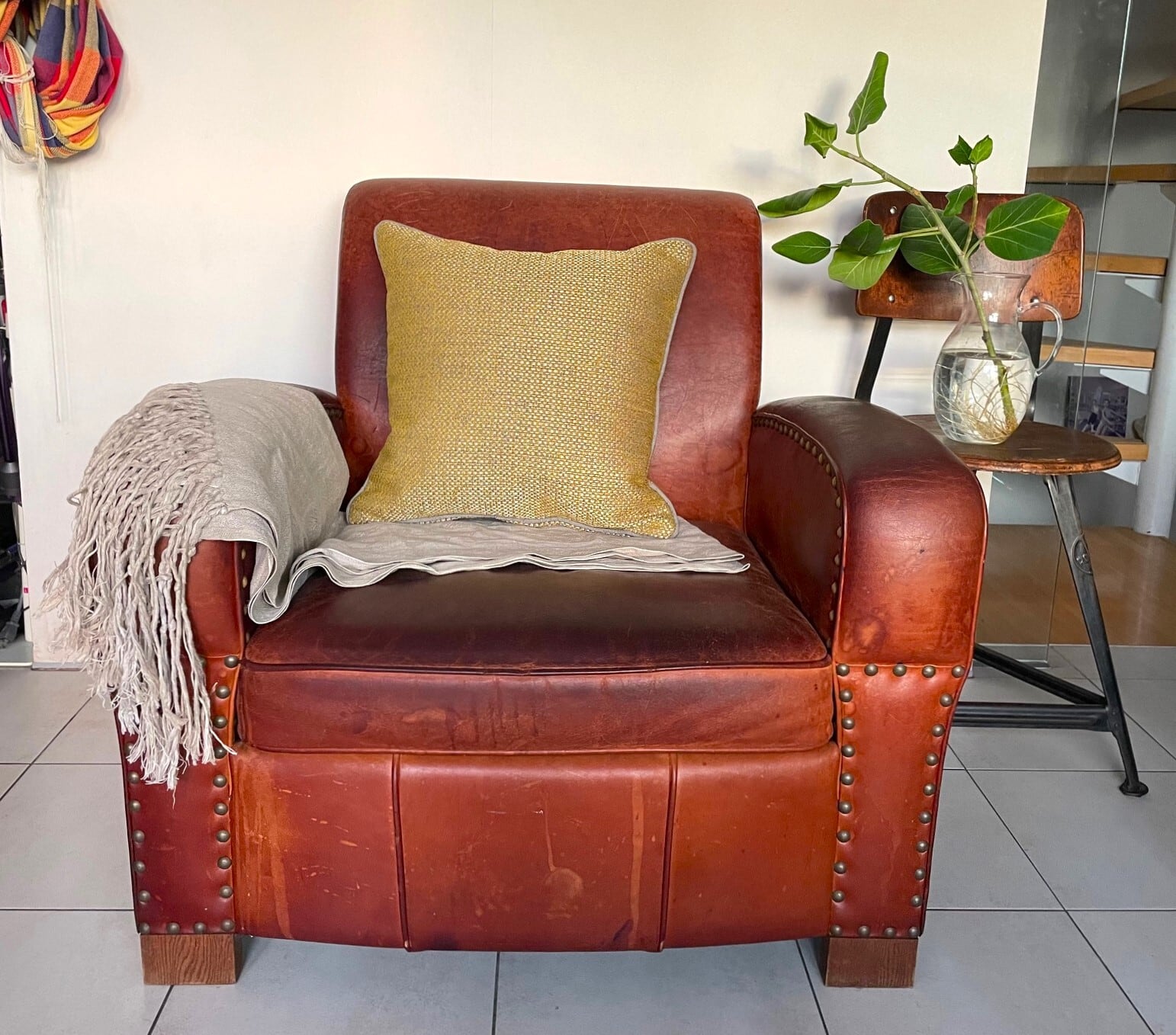 クッション Casanova 【公式通販】