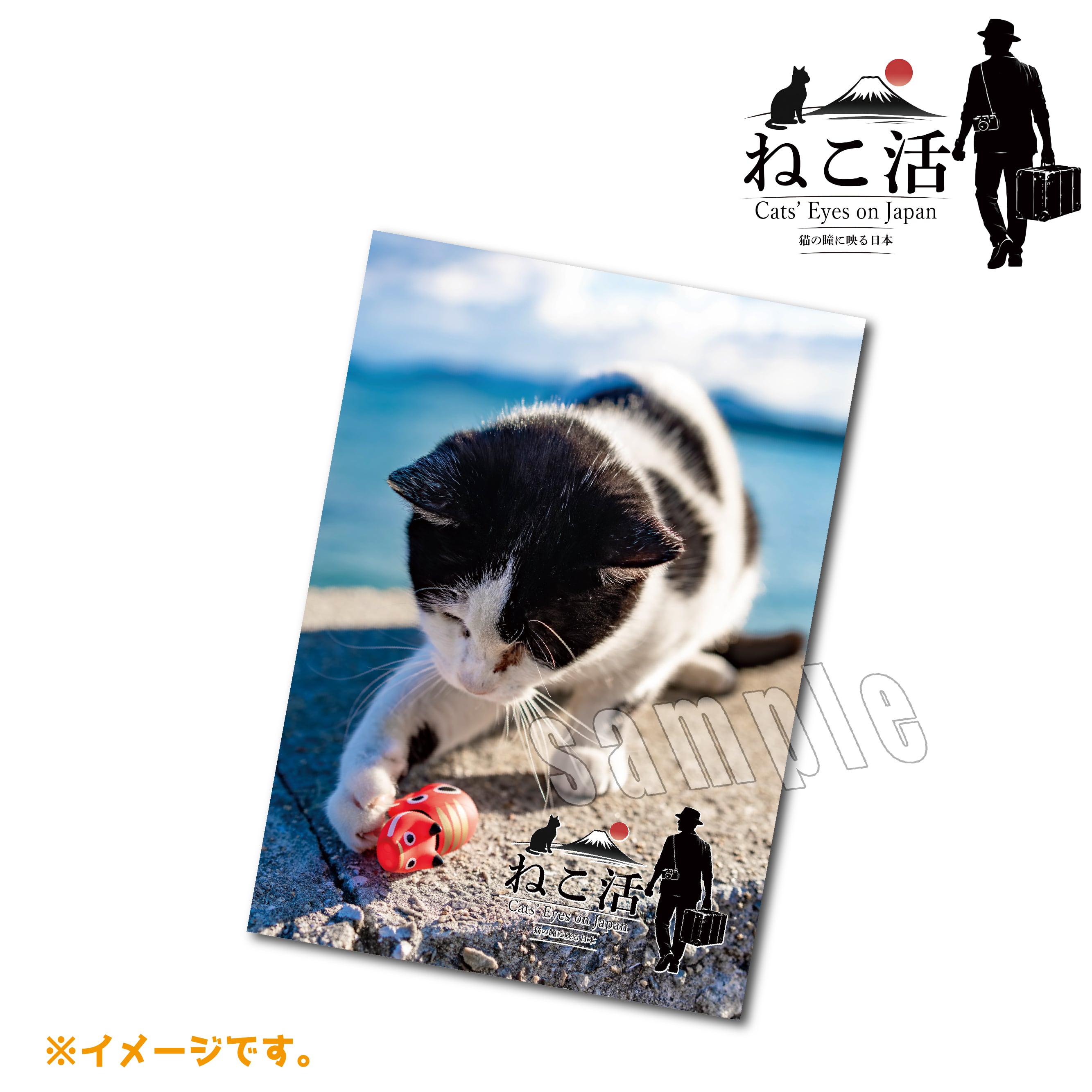 ねこ活 【全国の猫ちゃん】A4写真集 | Station Master Cat