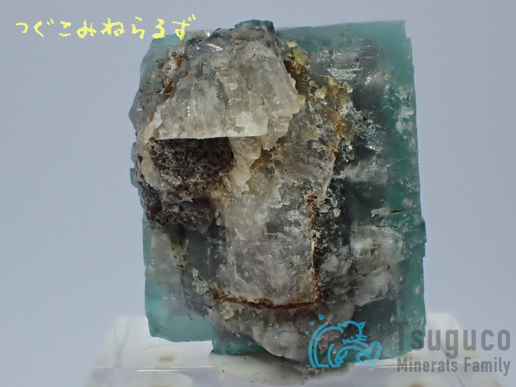 フローライト 蛍石 Fluorite イギリス TM-0047