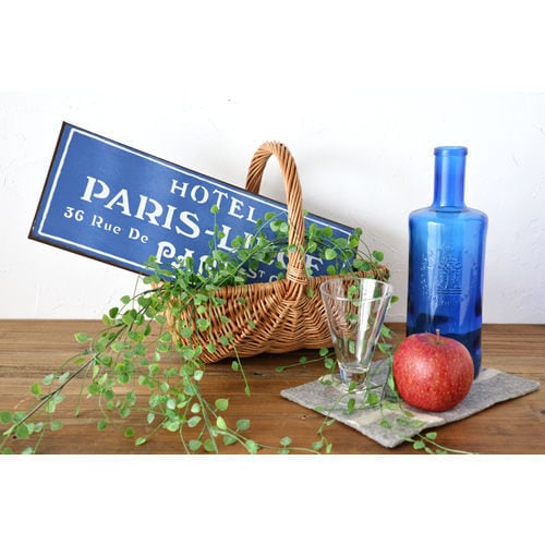 小さな葉っぱが可愛いハートカズラ 099-FG2448 | みどりの雑貨屋 Web Shop