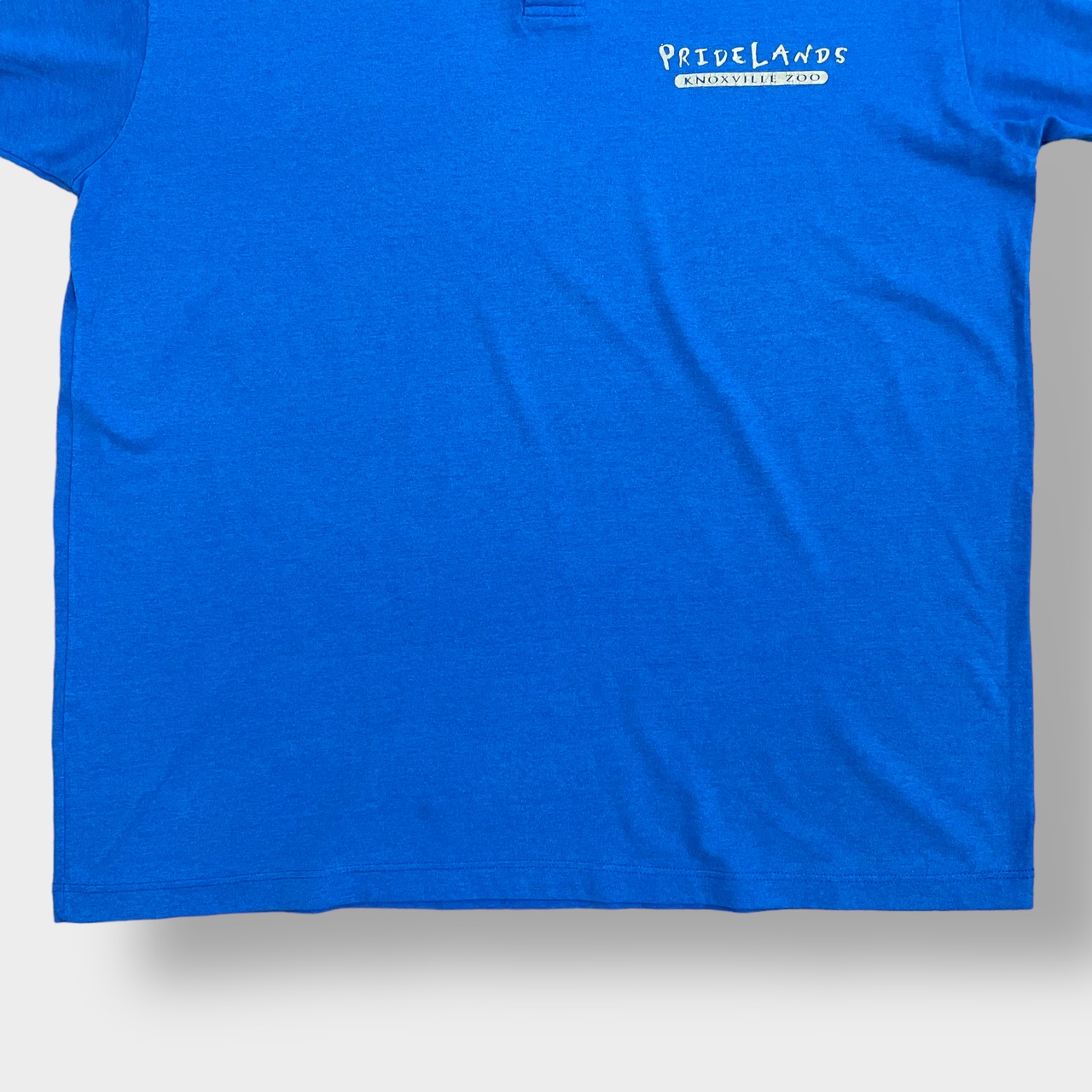 【FRUIT OF THE LOOM】90s ポロシャツ ナックスビル動物園 袖ロゴ ワンポイント XL ビッグサイズ ブルー US古着