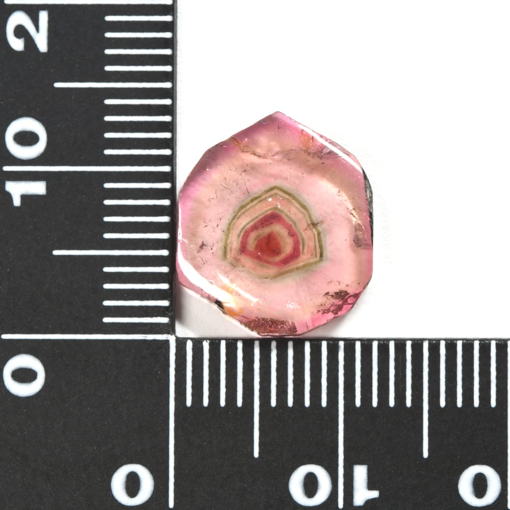 ウォーターメロントルマリン　11.4ミリ ウォーターメロントルマリン 4.99ct #PK461 | EBiS GEM