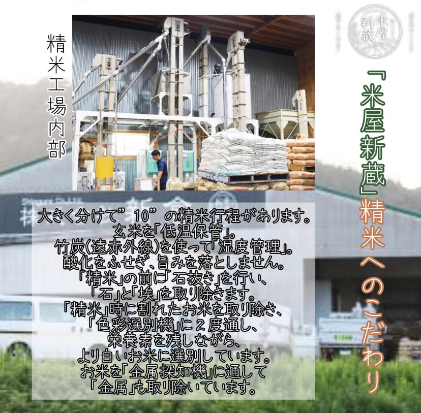 千葉県産 令和5年度 「ふさこがね」（5kg・袋タイプ） | 米屋新蔵