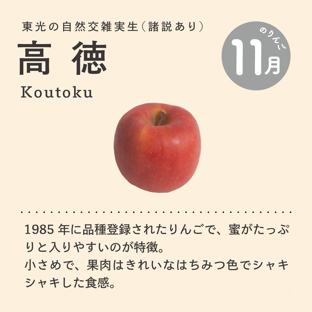 りんご：高徳》100％ジュース【250ml】 | 泉が丘喫茶室