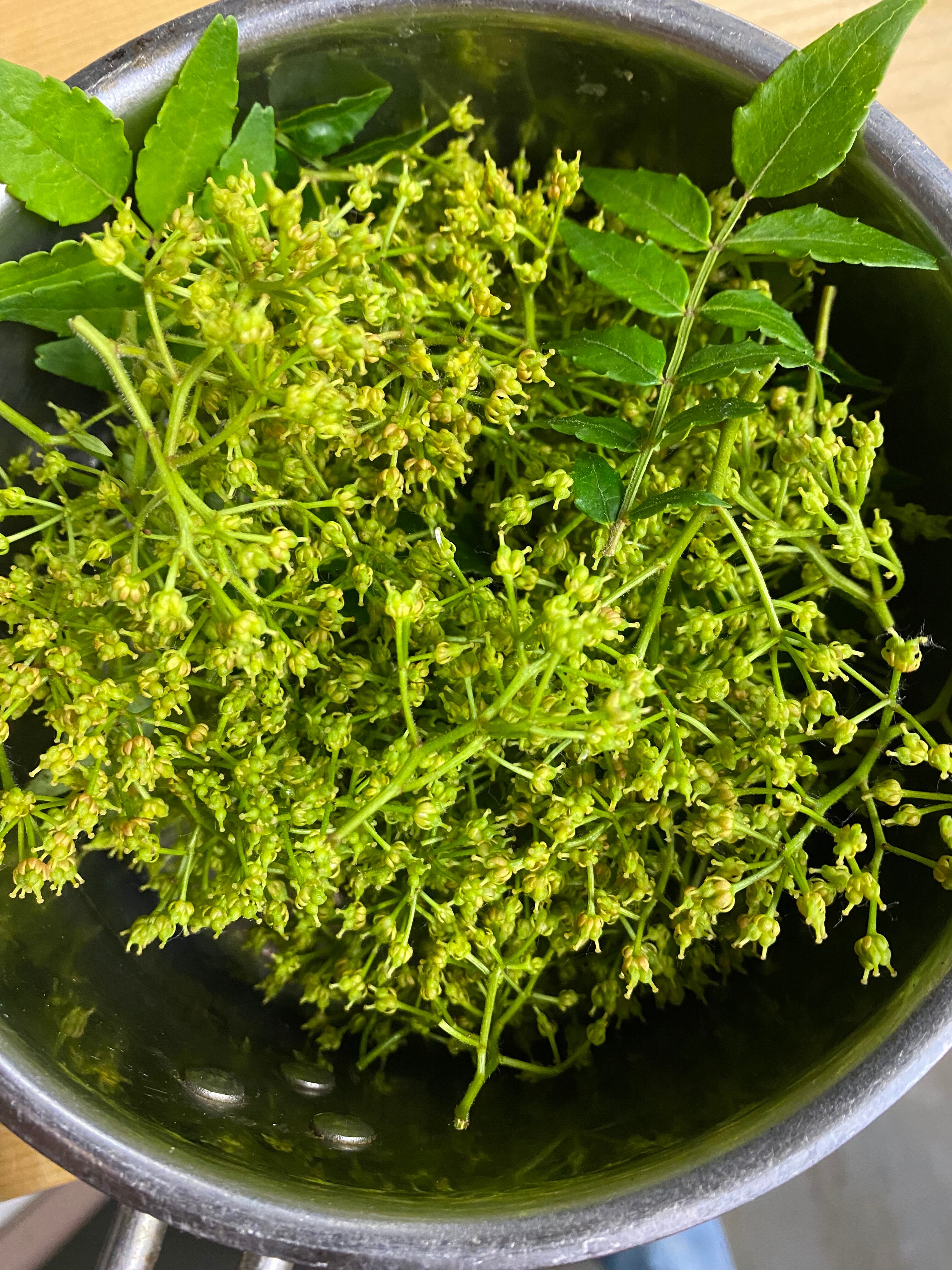 6月限定 青森産 実山椒（生） 100g | カシスといちじく田中農園