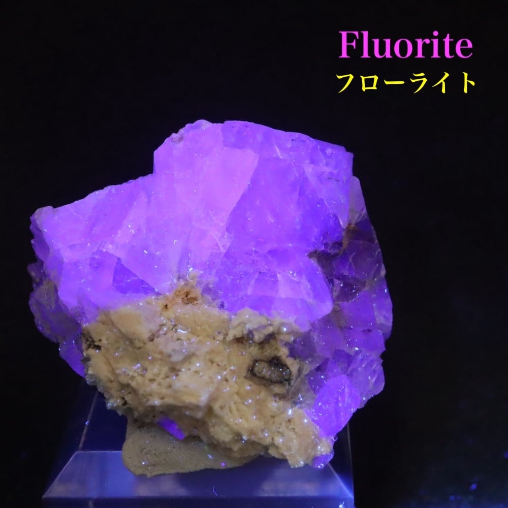 ネバダ フローライト 蛍石 原石 ネバダ州産 29.2g FL546 鉱物 天然石 パワーストーン