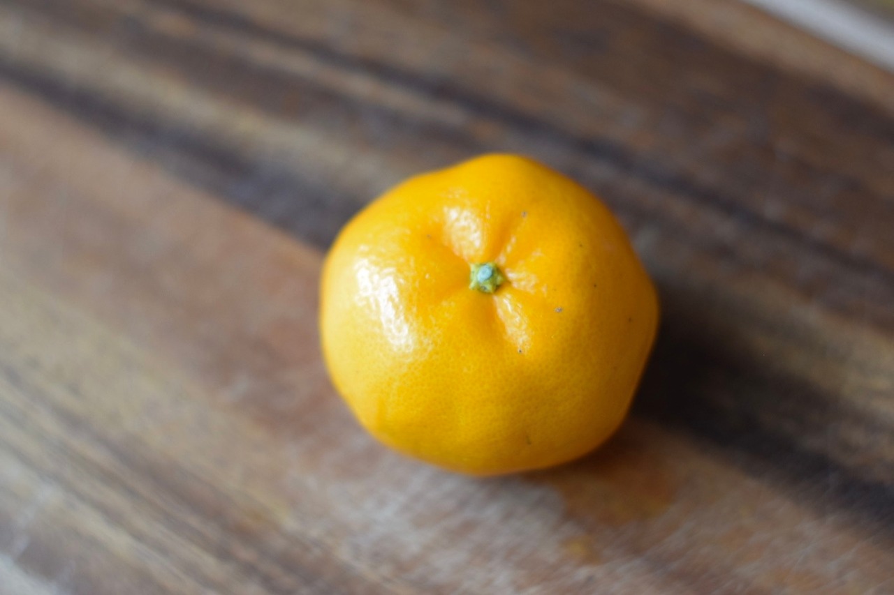 みかん×ポンカン！「はるみ」　1kg〜20kg