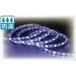 30m SMDフラッシングテープライト ホワイトブルーLED　KT3017