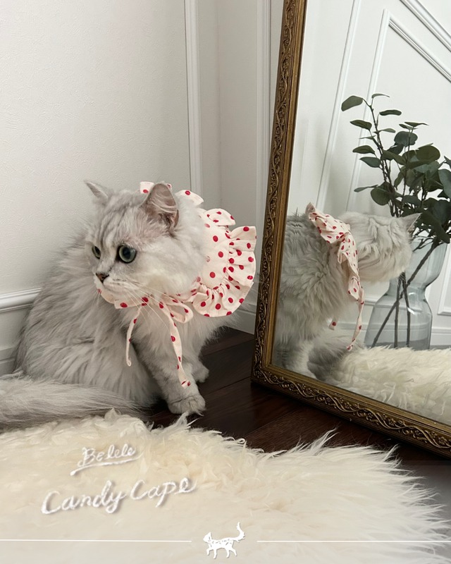 即納【BELELE】Candy Cape〔2color〕