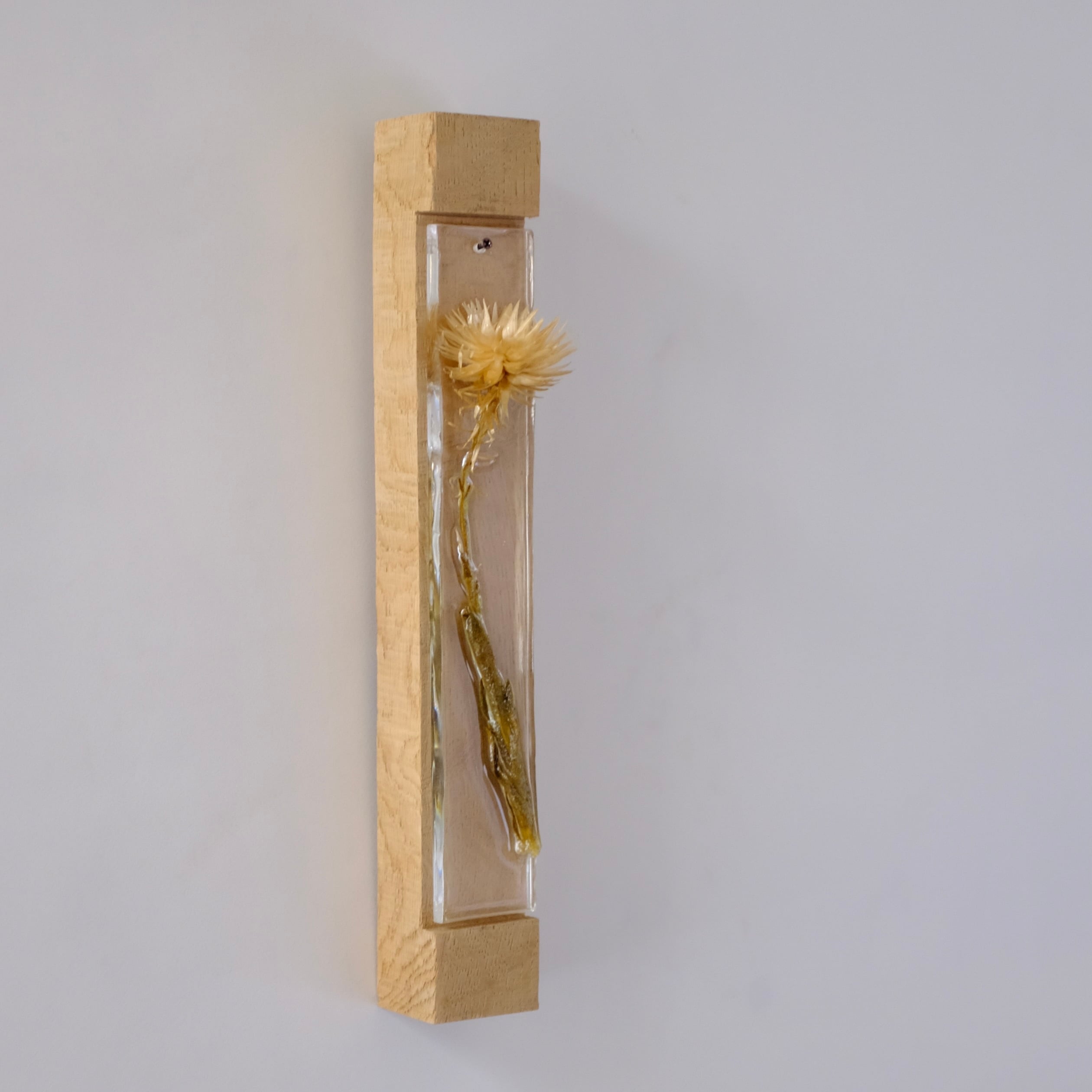 TANZAKU スターリンジア | toevalling