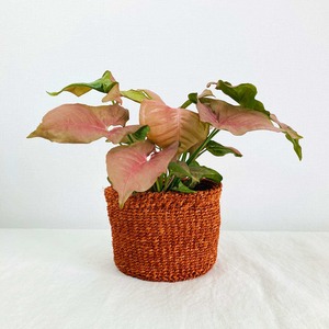 サイザルバスケット ミニ　ライトブラウン