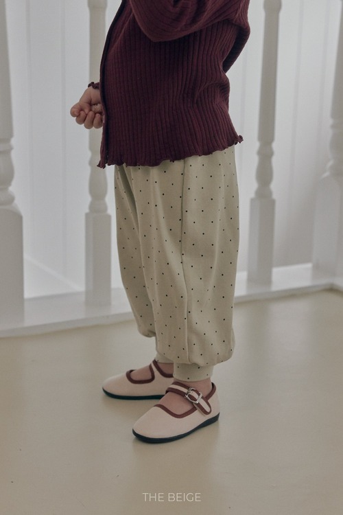 the beige［取寄］aladin dot pants 26autumn