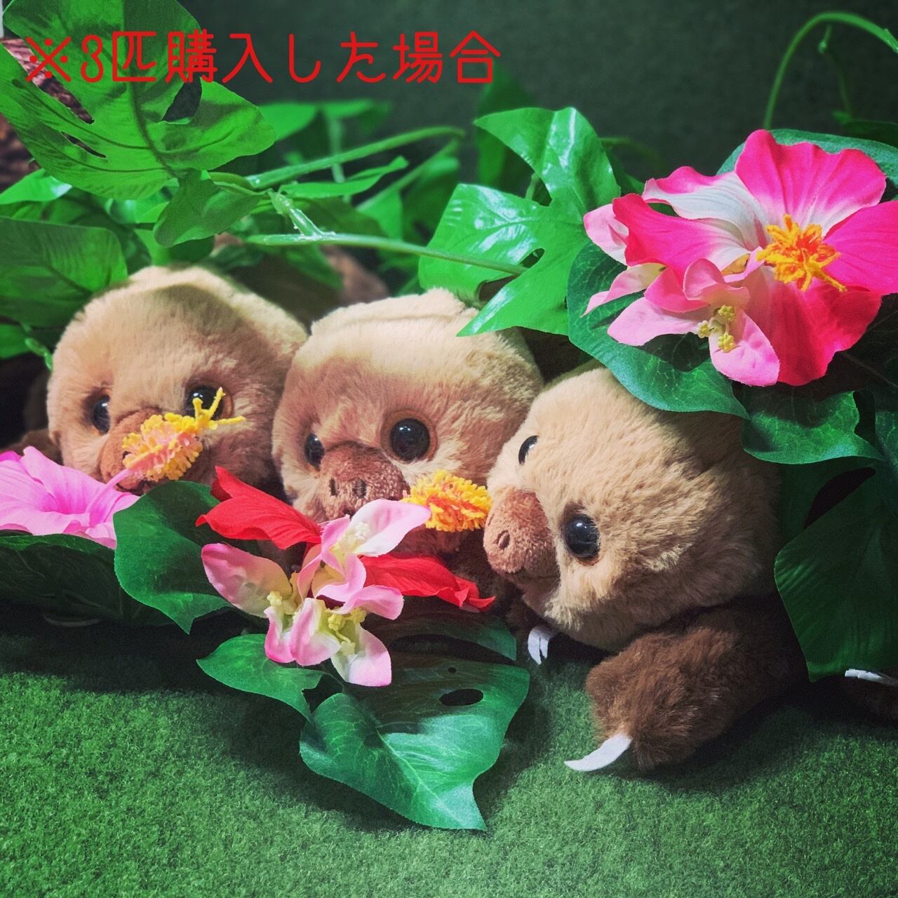 フタユビナマケモノぬいぐるみ（赤ちゃん スタンダード