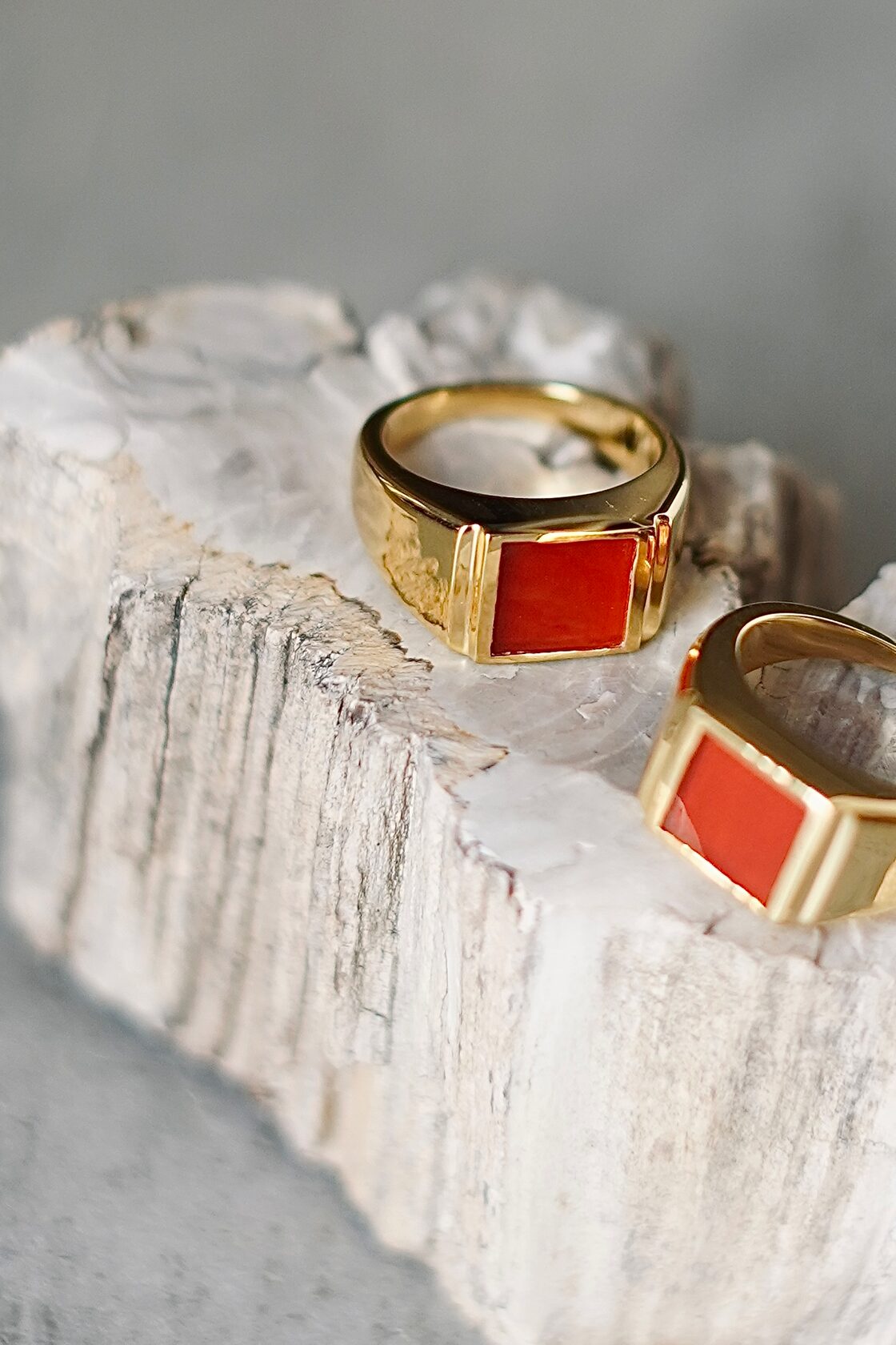 R.ALAGAN / SIGNET RING / RED AGATE (GOLD) | PAY ID