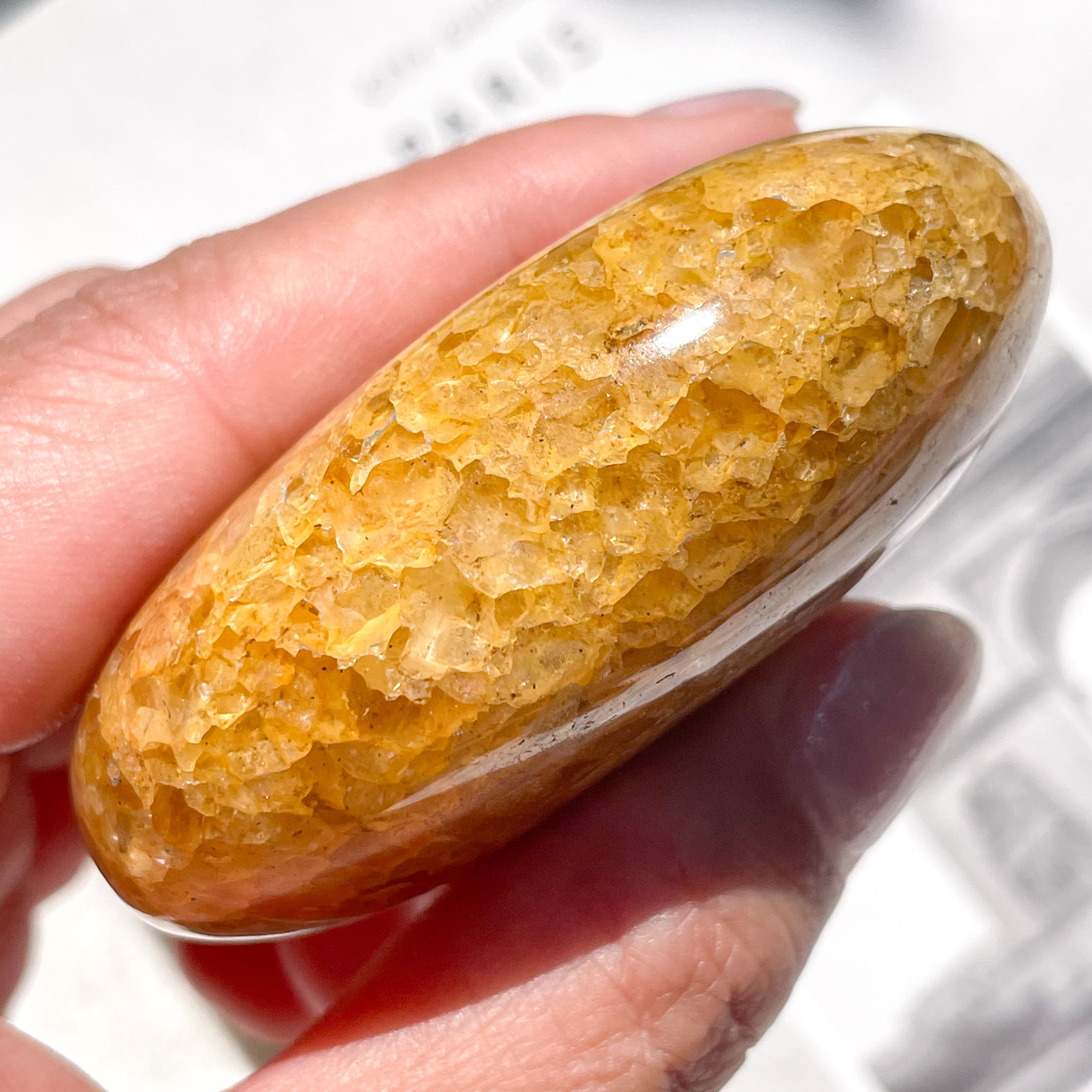 Golden Healer & Pyrite Palm 4 ✧ ゴールデンヒーラー&パイライト