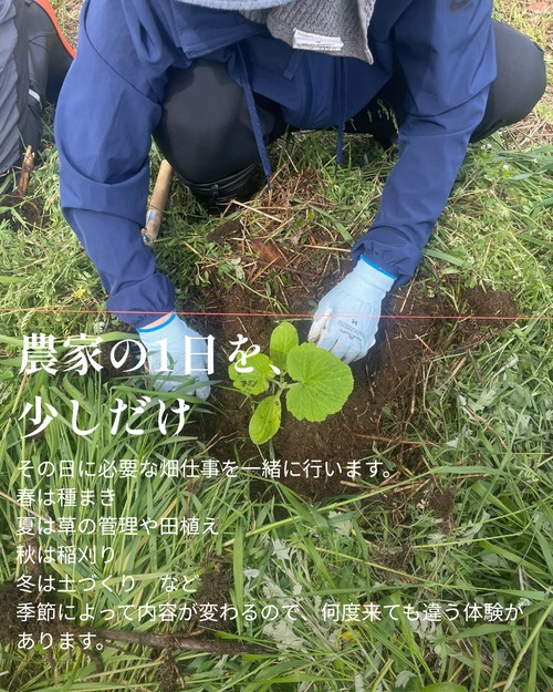 季節の農園体験｜農しごと体験（予約制）